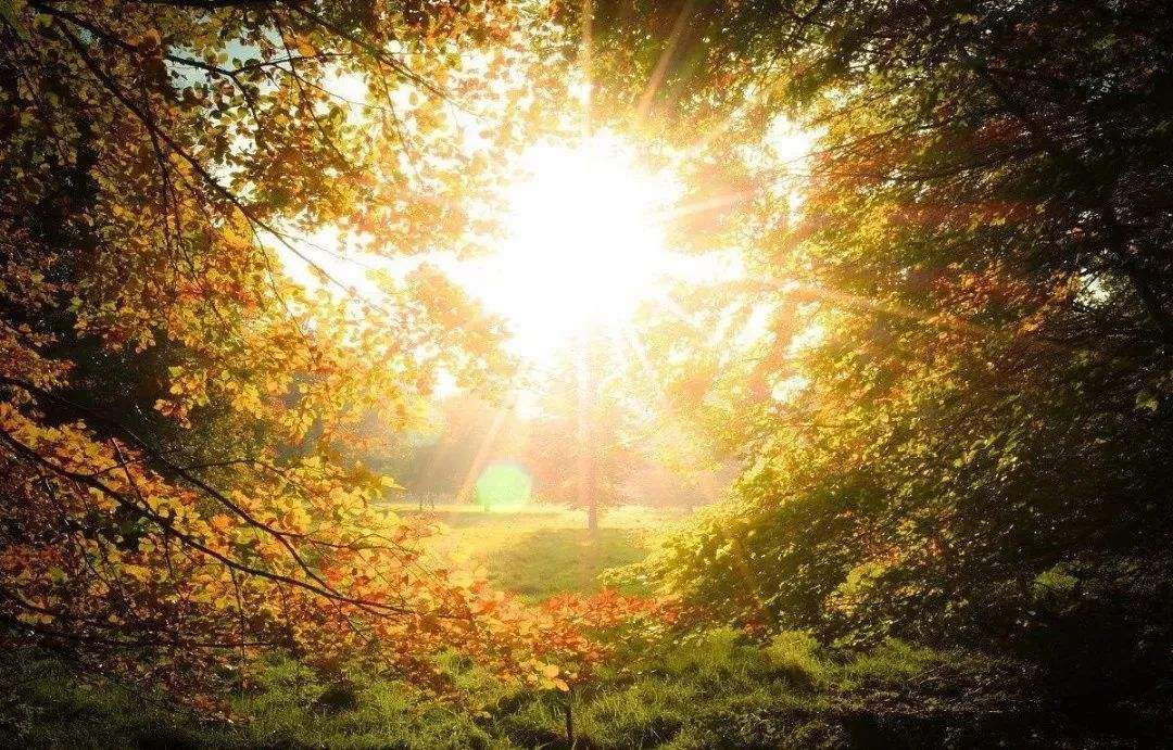 《心安即是归处》：在混乱的生活中，也要保持心情的平衡