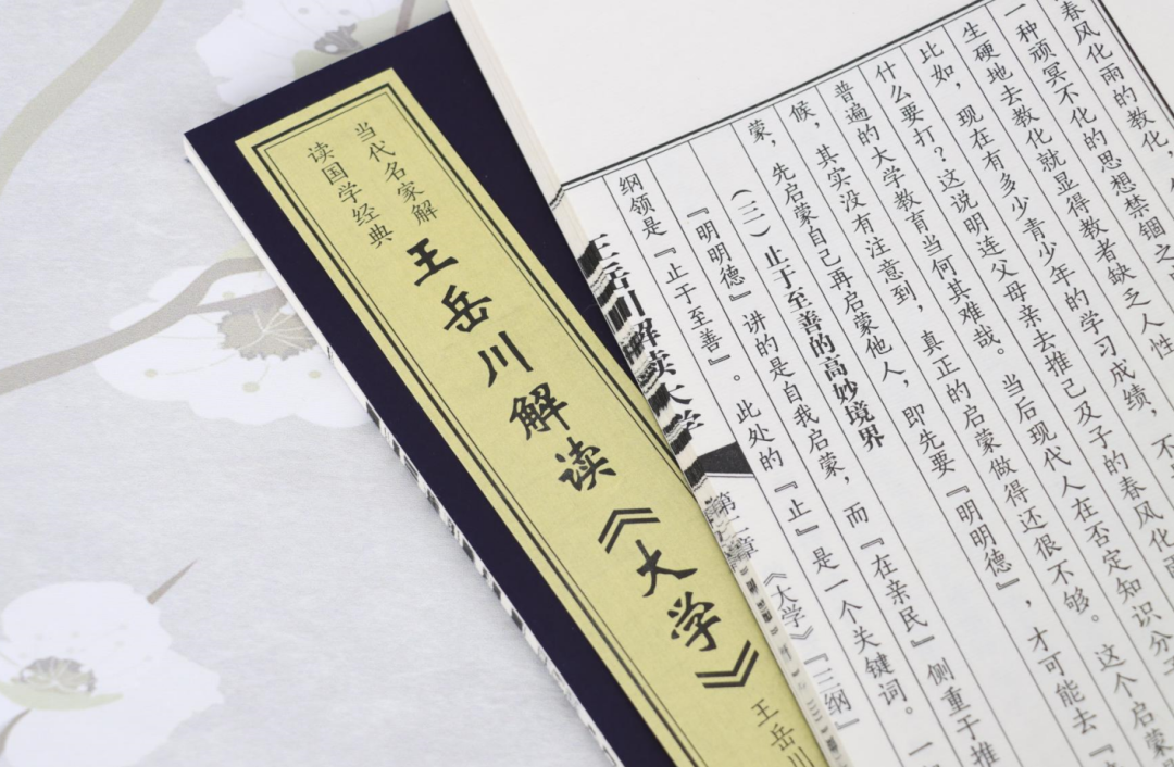 善品堂藏书：读国学也可以轻松有趣，《王岳川解读<大学>》