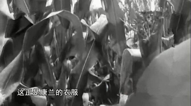 聂树斌案：枪毙10年后真凶出现，母亲执着上诉21年，终还儿子清白