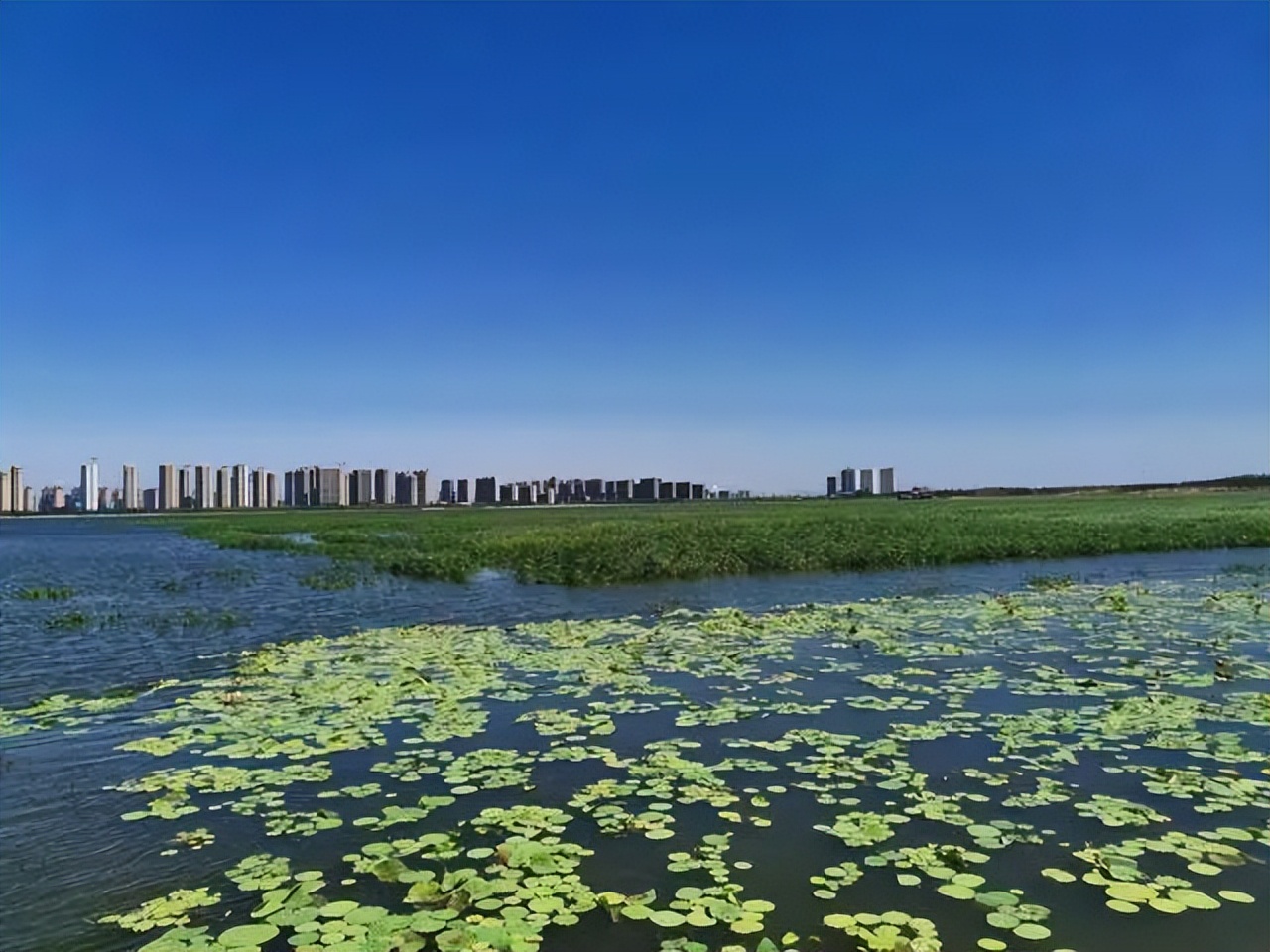 夏天游太原，收好这份“昼赏荷花夜赏景”路线图