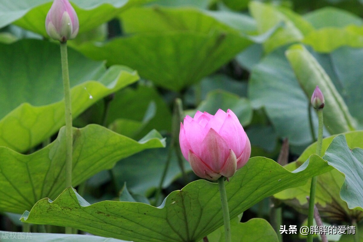 幸与不幸都有尽头，见者有份，好事发生；适时清零，更好前行