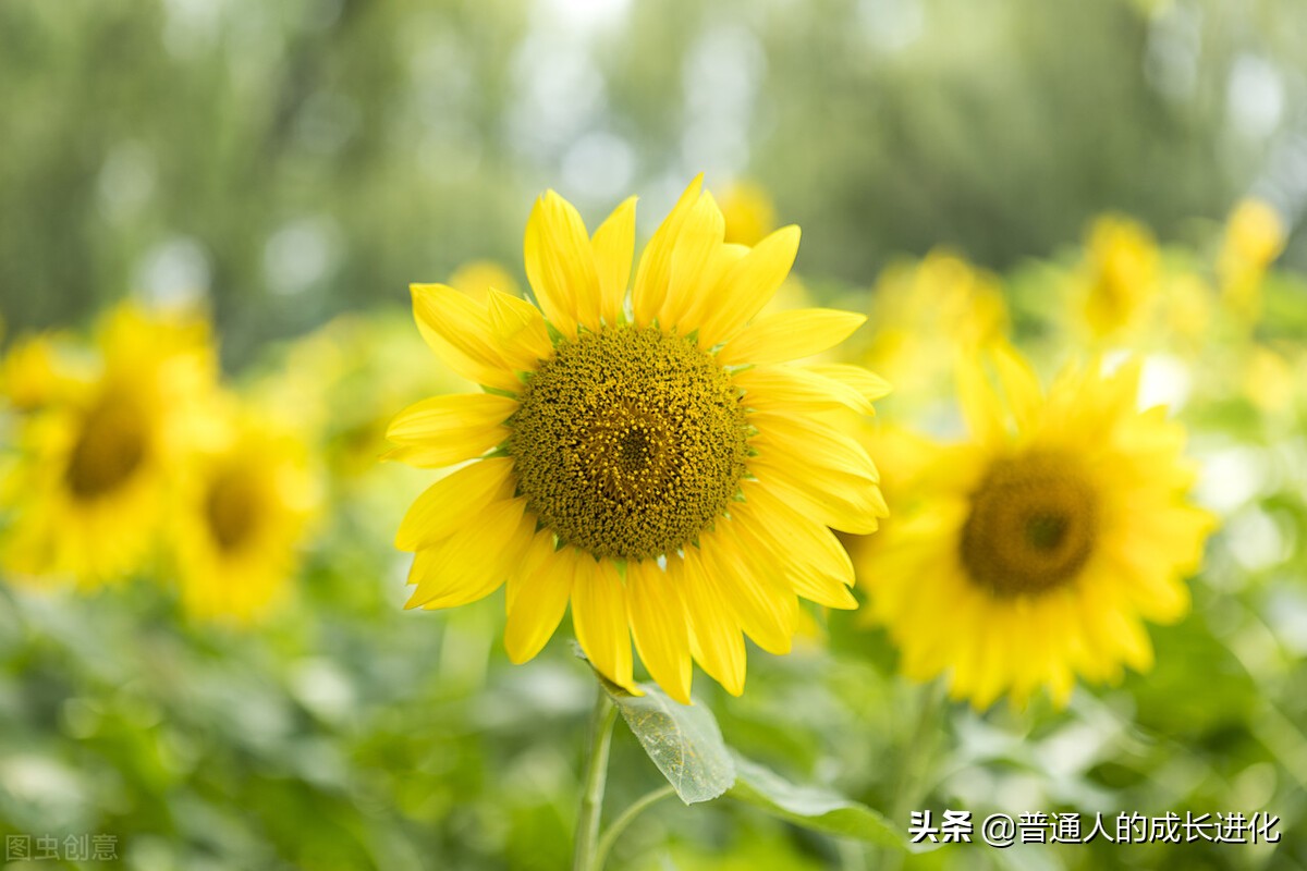 坚守四种信念，让生命获得持久的温暖和力量