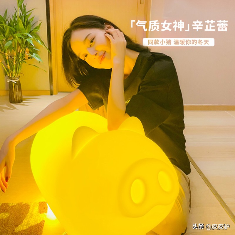 圣诞节礼物清单图（圣诞节礼物清单英文）