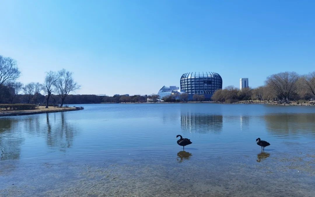 集体保研985！这6位“神仙学霸”，全部来自同一大学、同一学院！