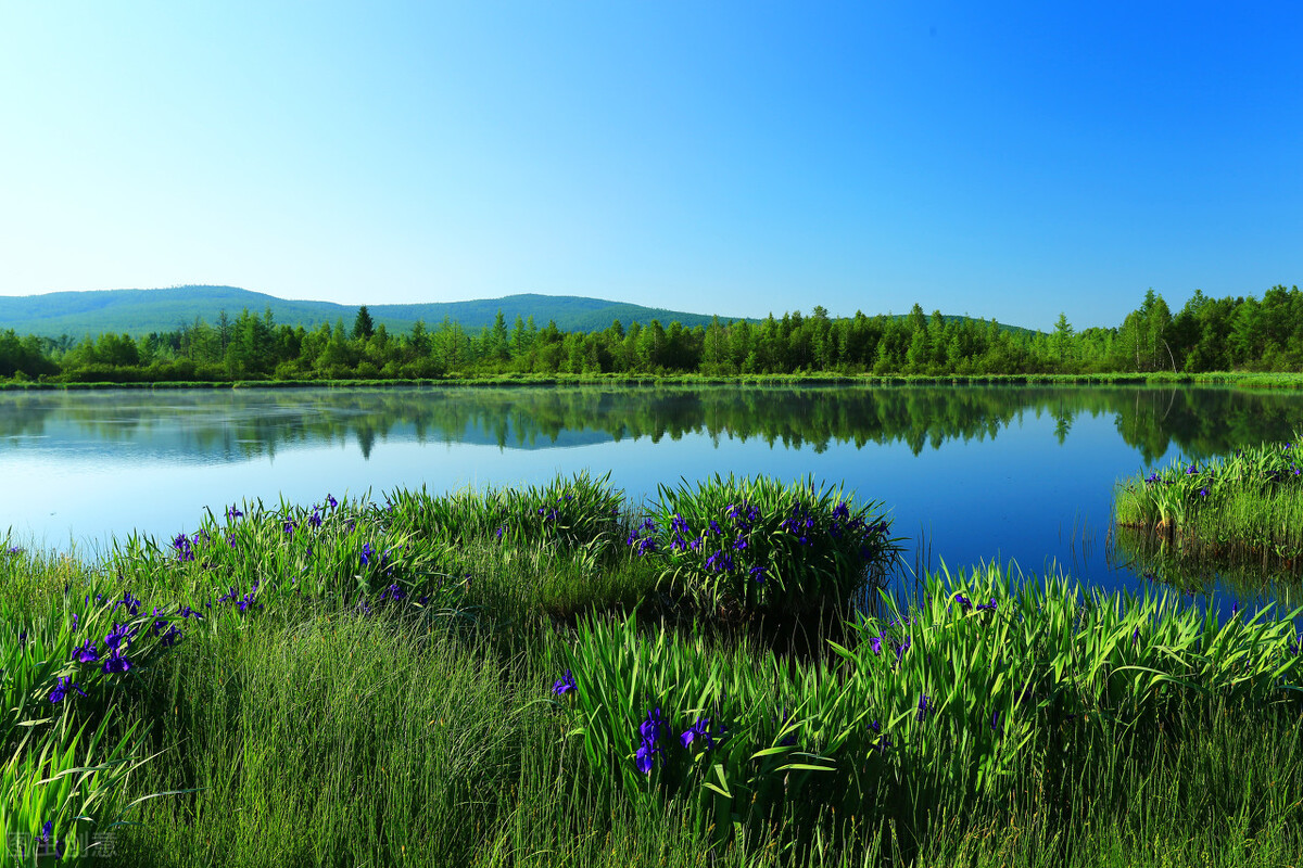 地方师专院校学生的教师职业技能培养研究——以英语学科教学为例