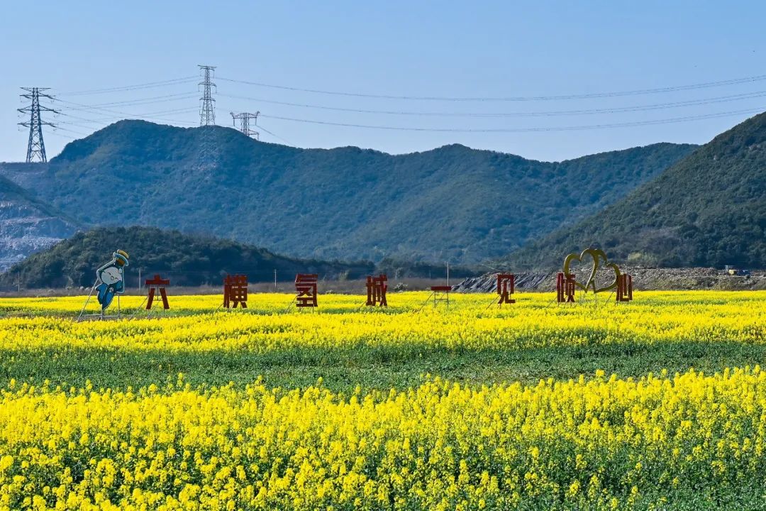 芳菲四月，花“漾”舟山，这份全岛赏花攻略 踏春路线请收好~