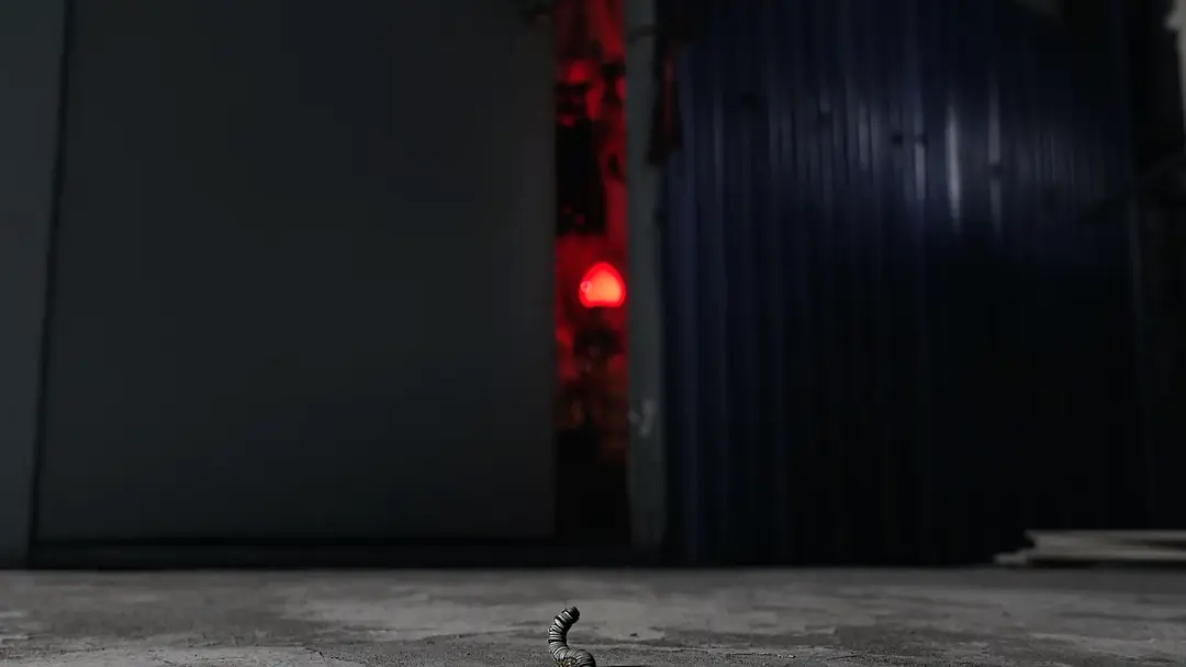 无视“鬼片刺客”的晦气后，《咒》就能从传统鬼片变成中式克苏鲁