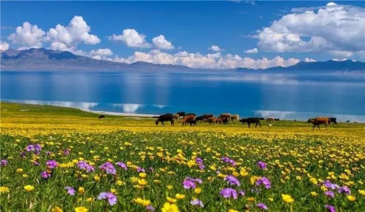 新疆春游都有哪些攻略分享？