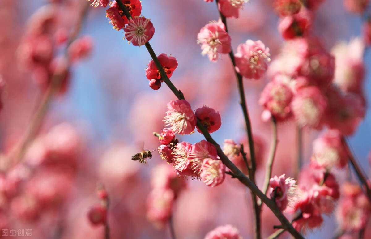 雨水节气送祝福，10句正月十九雨水节气祝福语