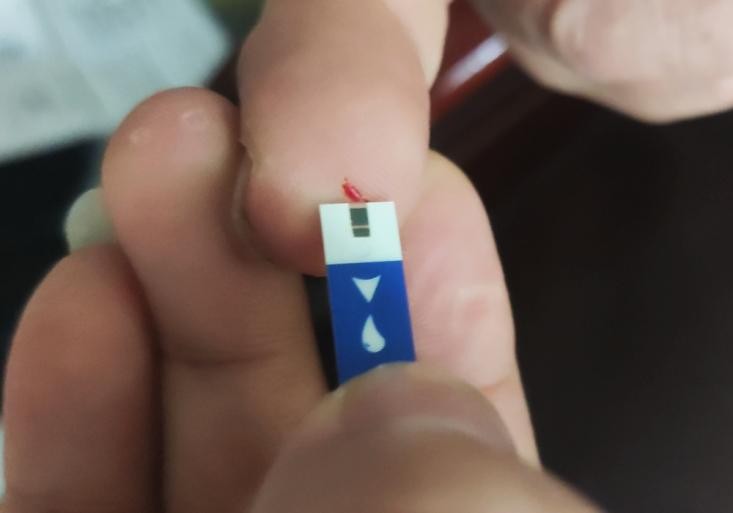 血糖监测专家 爱奥乐家用血糖仪让你心里更有数