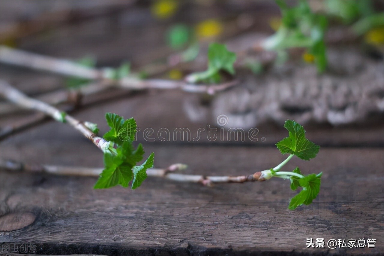 愿你一切都好