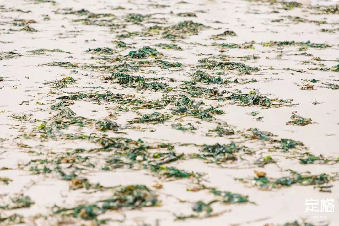 深圳10个海边沙滩，超好玩