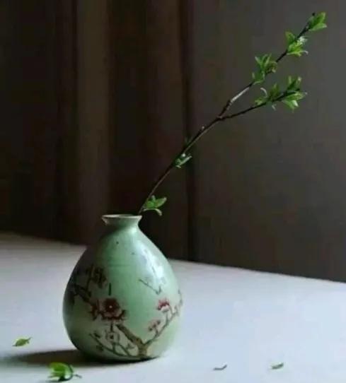 养生贵养心，养老钱先行。反之，何谈优雅的老去