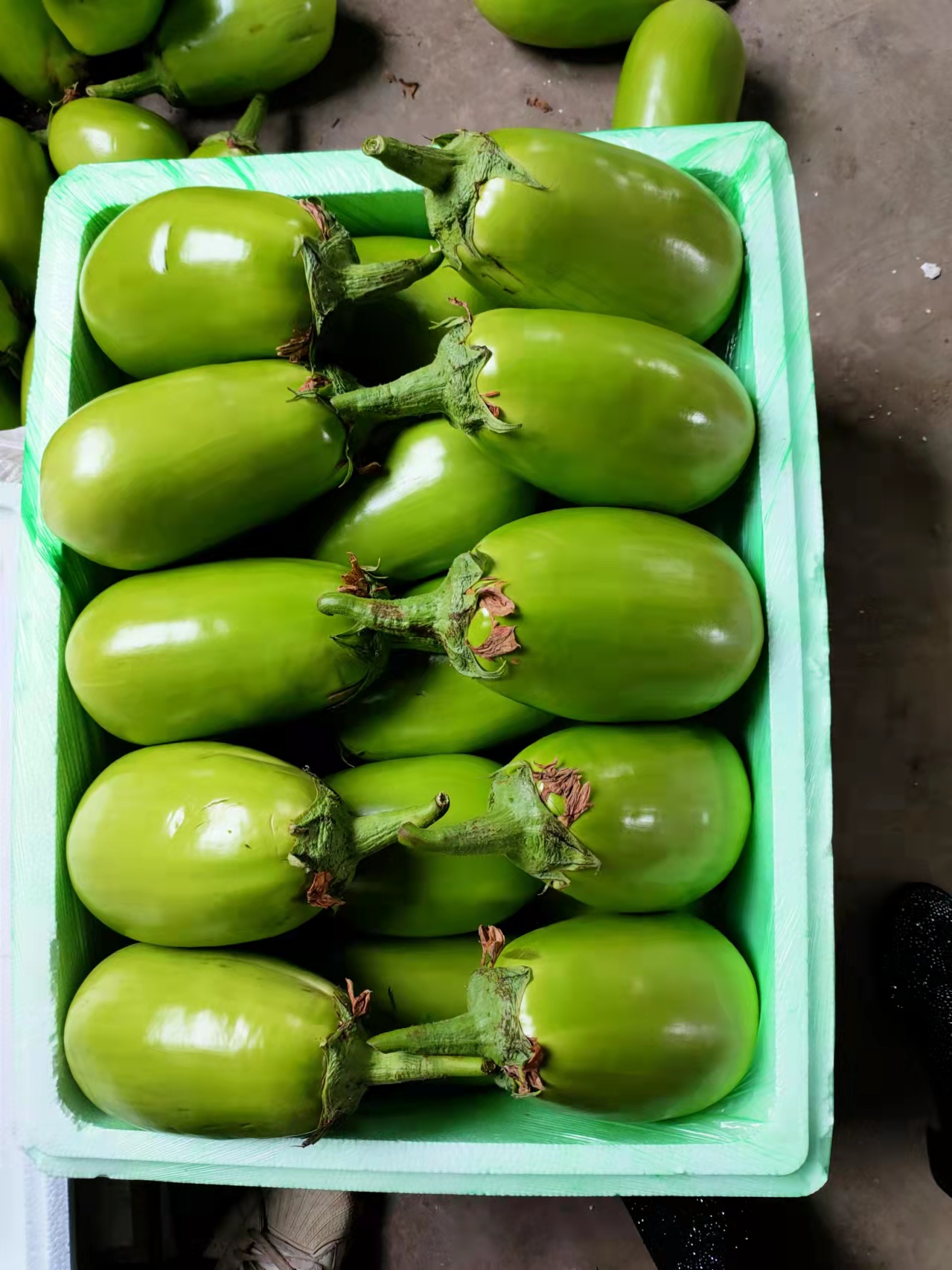 农业部农产品质量安全中心（来自大自然的绿色无公害蔬菜）