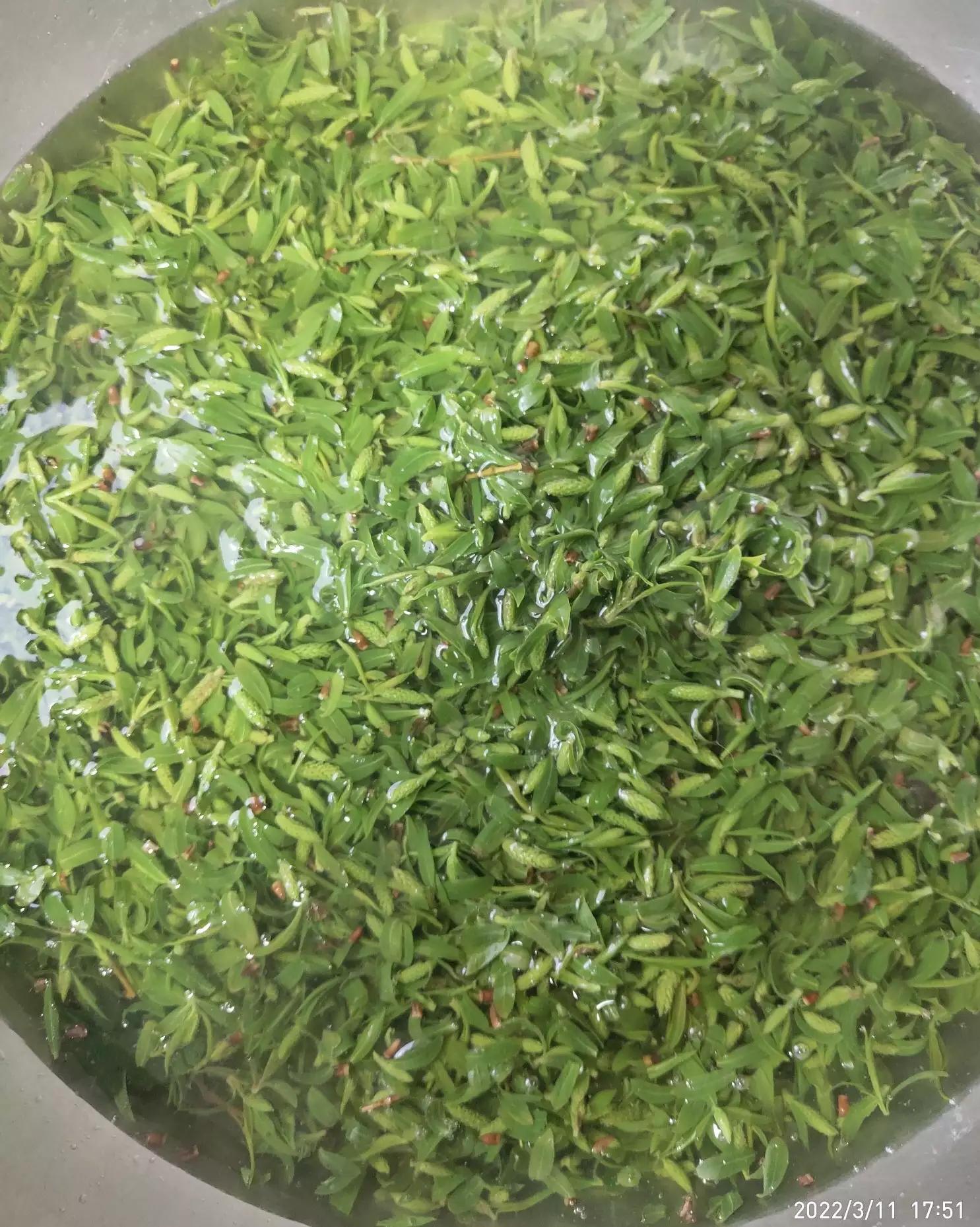 高考这几天吃什么（距高考87天）