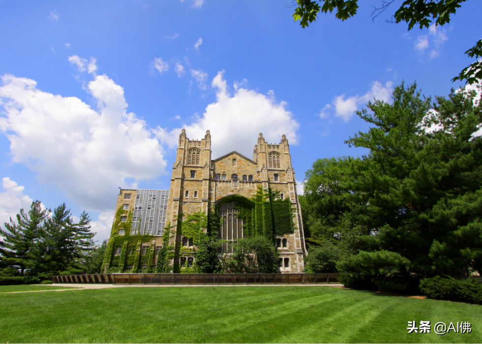 2022年美国大学排名最高的州