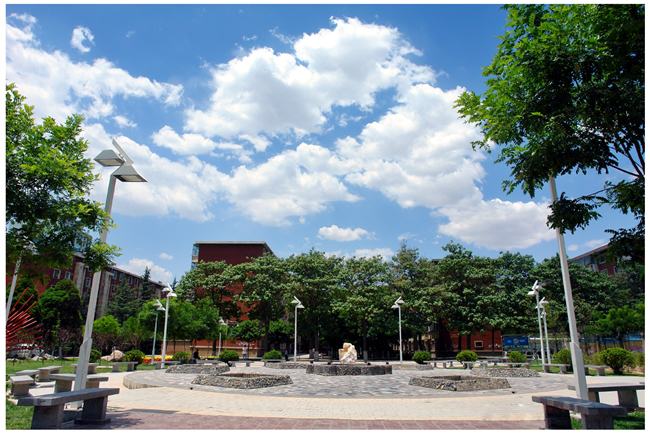 百余年历史的西北师范大学，2021年甘肃各专业录取分数线汇总