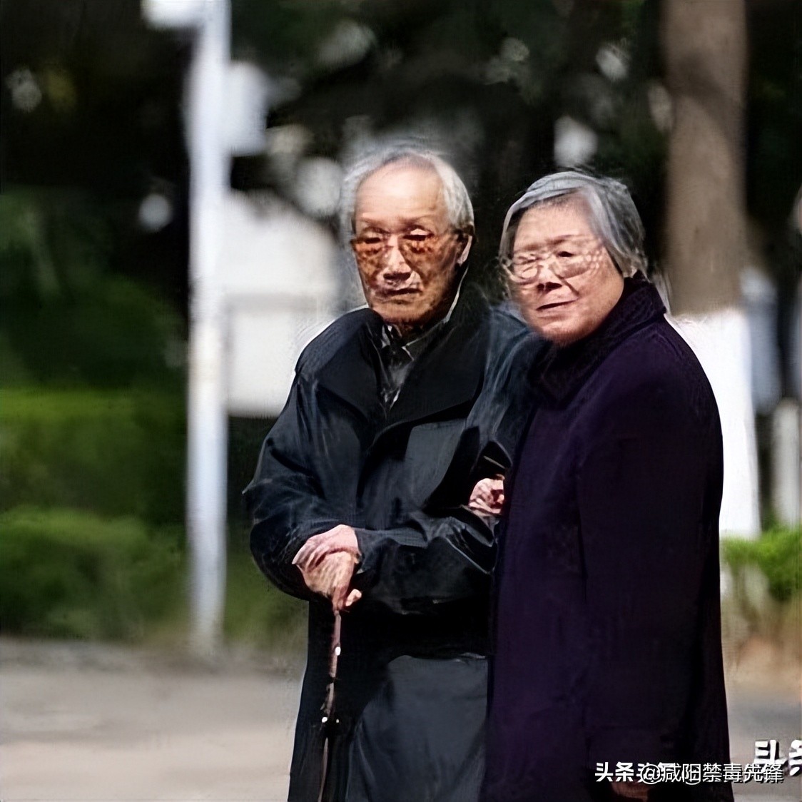 2017年，84岁的南大教授找到失联23年的学霸儿子，儿子却拒绝见面