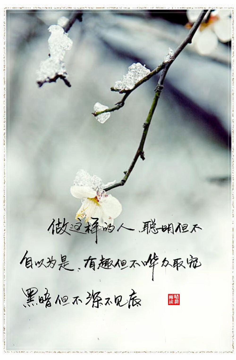 最美瞬间优美句子