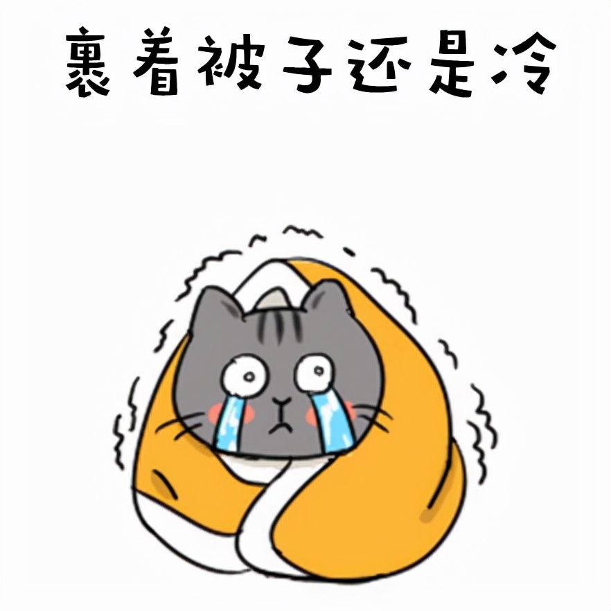 告别寒冷，寻找最佳汽车加热垫品牌
