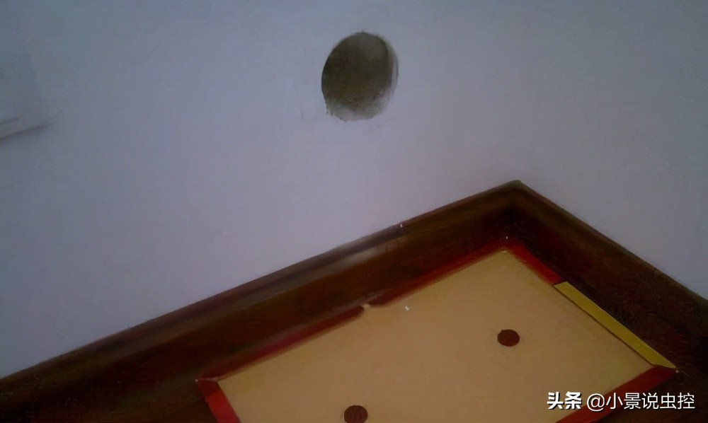 防止捕鼠器移动需要考虑的3件事