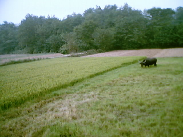 一张勉强合格的试卷