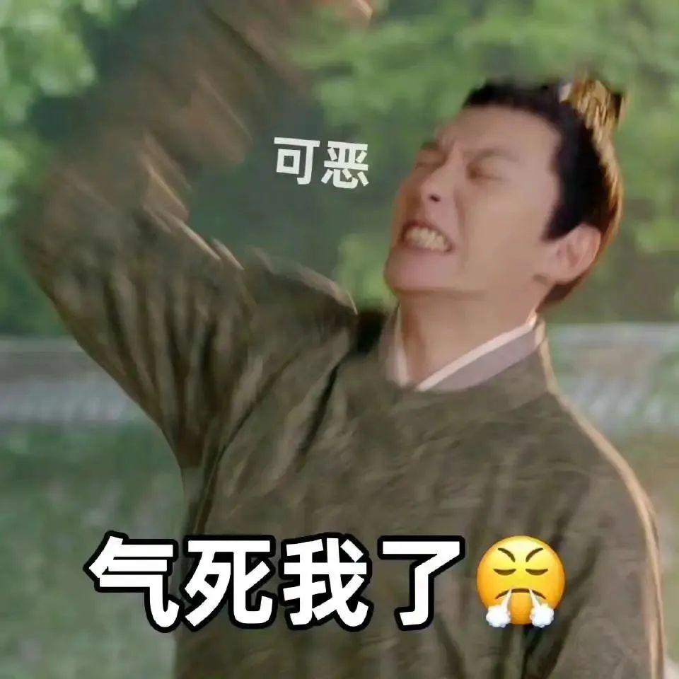 梦华录刘亦菲表情包