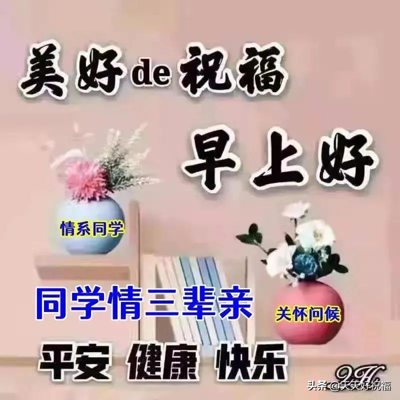 朋友圈同学情短句(珍惜同学情谊的句子唯美)