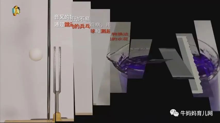 下载！小小科学家45集视频，每个小朋友都有“十万个为什么”