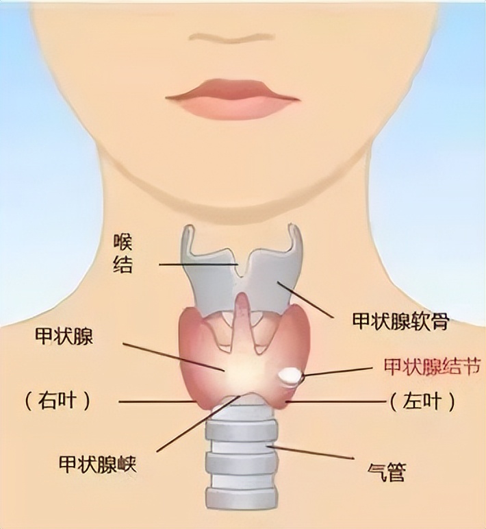 华阴市人民医院“国际甲状腺知识宣传周”多学科义诊来了