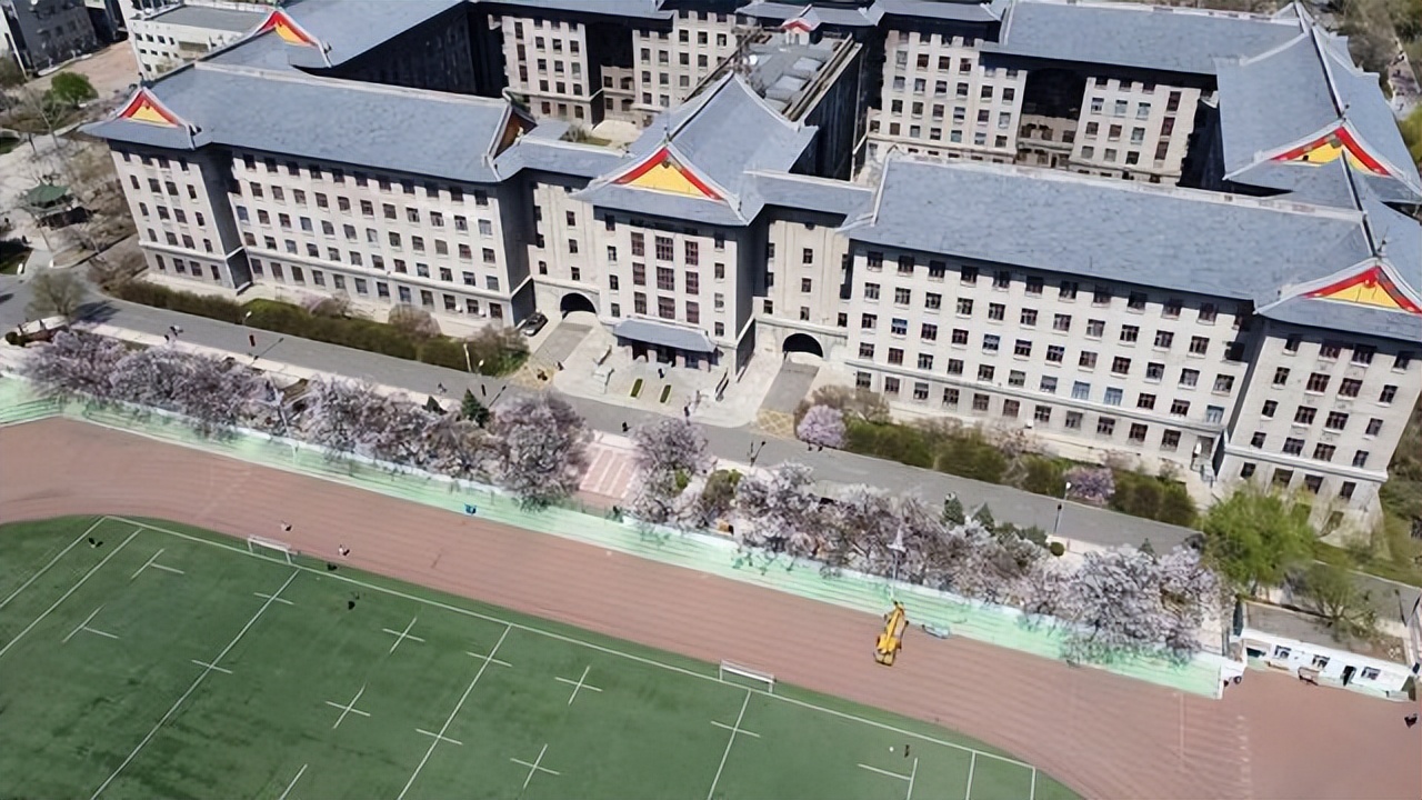 少年强则国家强，少年，为了强国报这些高校吧