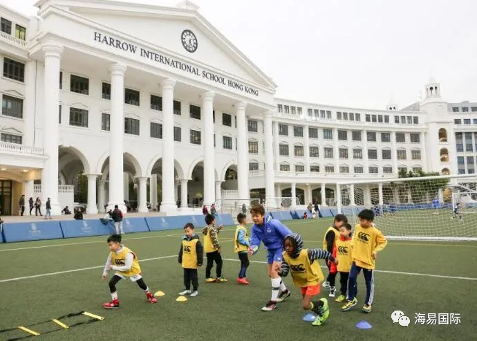 重磅！深圳哈罗礼德学校暂停一到九年级申请！家长要如何做规划？