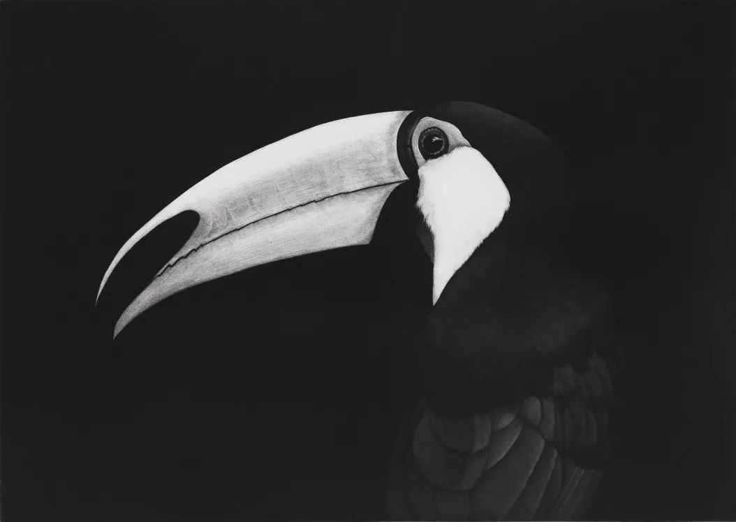 “夙昔荣耀”龙华区历届国展入选书画作品展