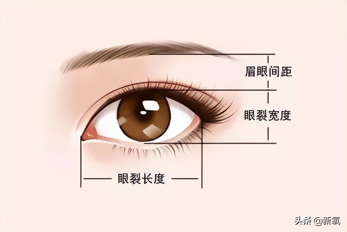 碰瓷刘亦菲还全网好评，姐这张脸真是集天地精华了吧