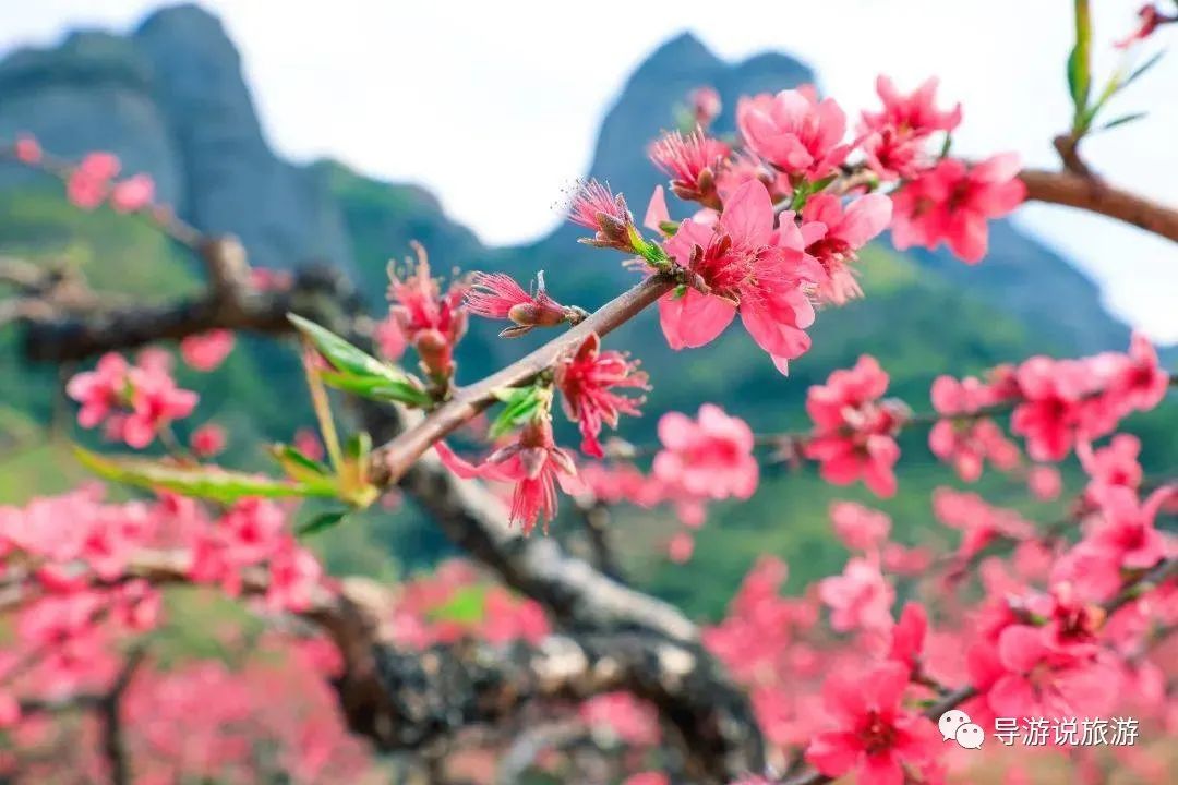 爬龙南小武当山50次之后，我“爱”上了她