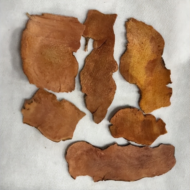 龟苓膏里到底有没有龟？