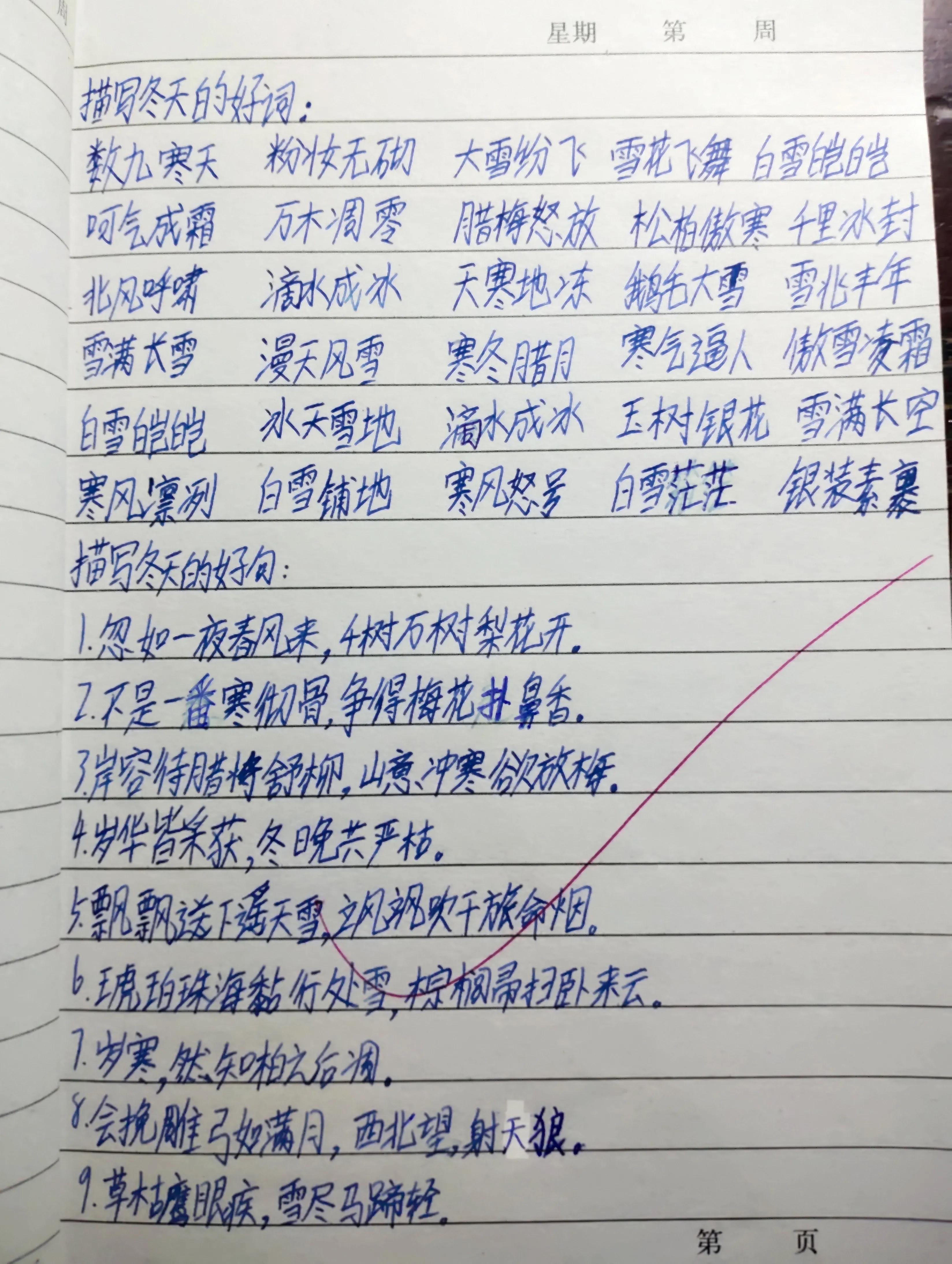 看我家初三生五年级的读书笔记：摘抄的句子很美，个人的感悟很深