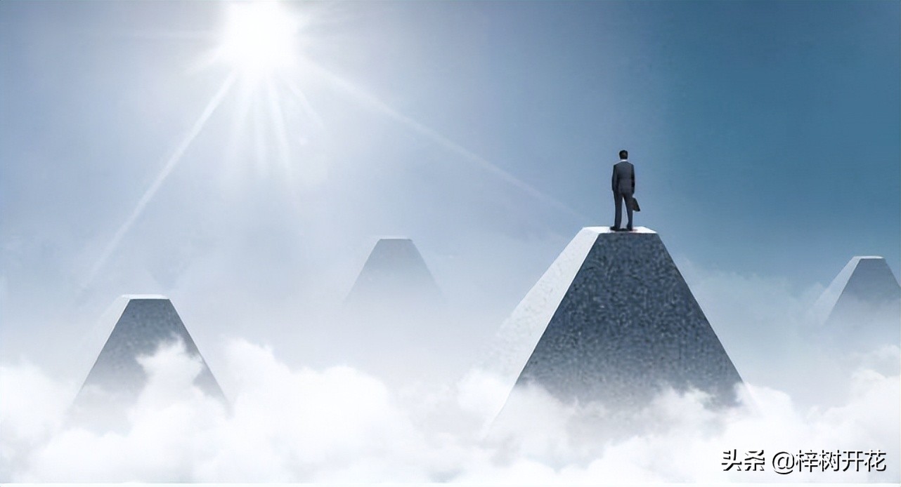 究竟什么才叫专业？“专业”是从哪些方面来判断或评估的？