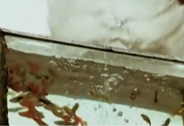 2005年，河南女孩放学喊陌生人爸爸，检查DNA发现是失散多年亲叔