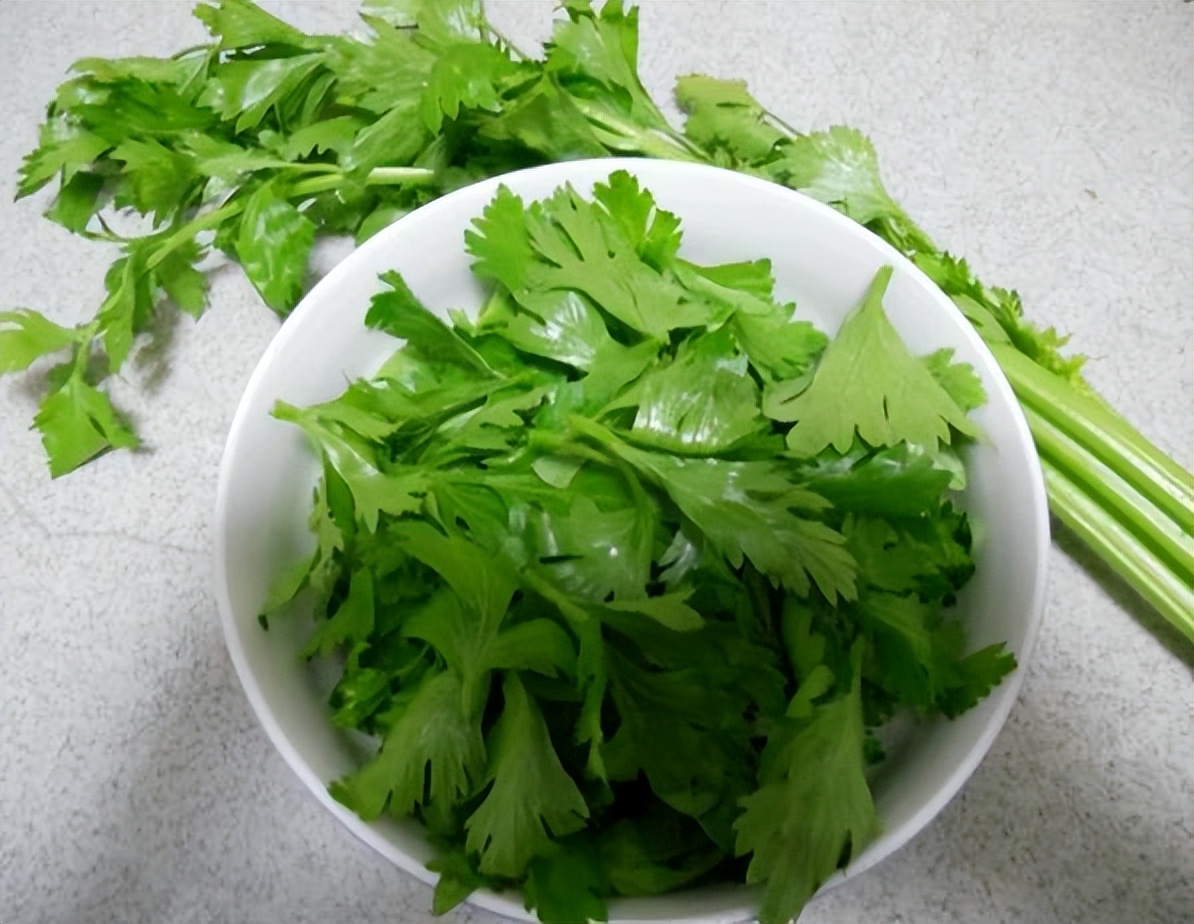 吃芹菜为什么不吃叶子？可能很多人还不清楚，看完记得转告家人