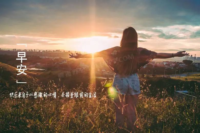 鲜花带来的好心情句子有哪些?