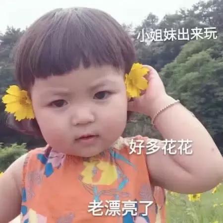 笑到肚子痛的 短笑话