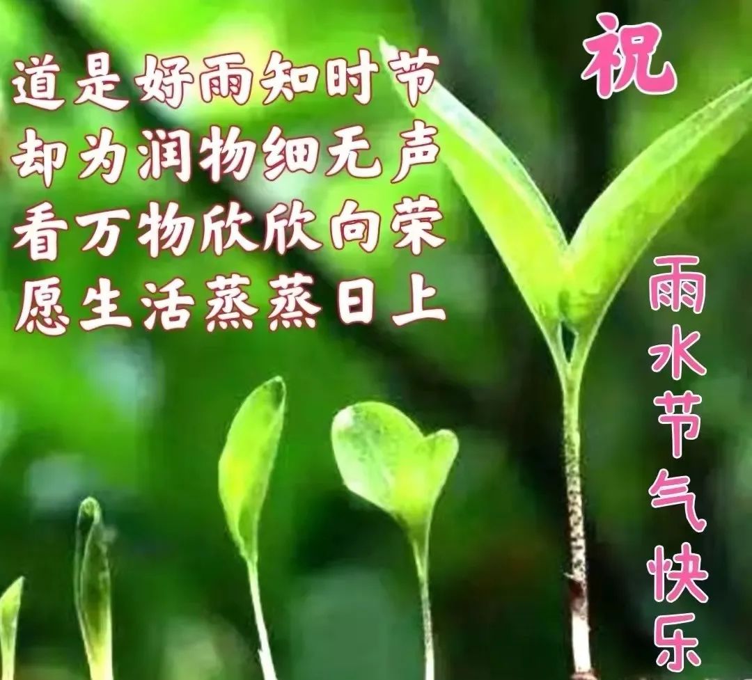 02.18」早上好,雨水节气免打字问候语图片语录精选合集