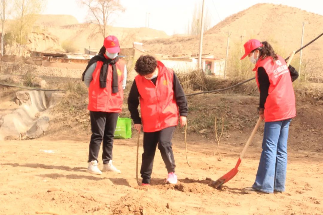 【植树添新绿 巾帼在行动】白银市妇联开展“巾帼植绿护绿 共建美丽乡村”主题党日活动