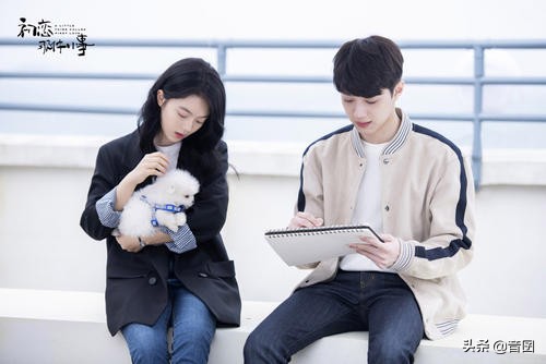 好剧推荐｜分享“五十部”很好看的青春校园剧「1」