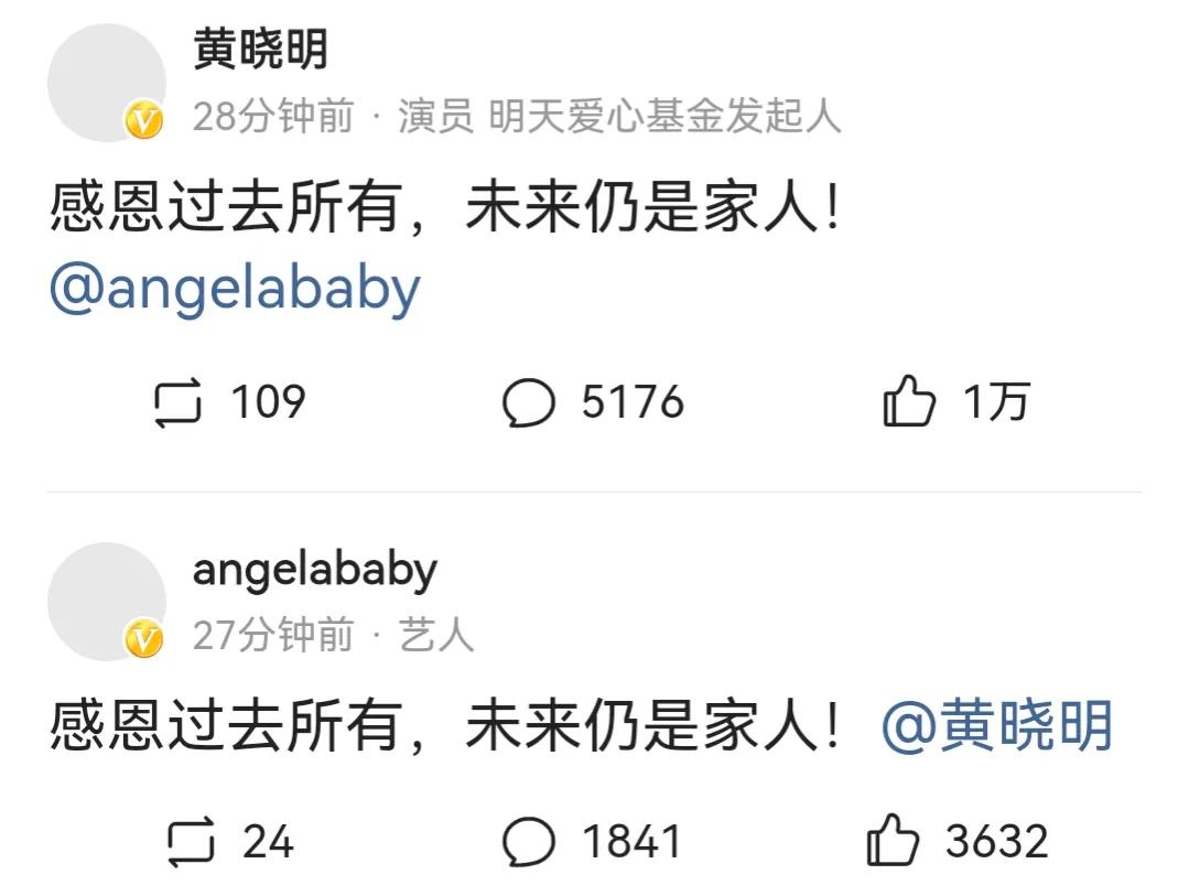 难怪baby要和黄晓明离婚！看了她这些年的收入，你就明白了