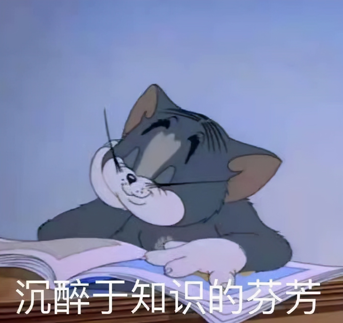 英语专业的小伙伴看过来！英语语言文学考研大解析