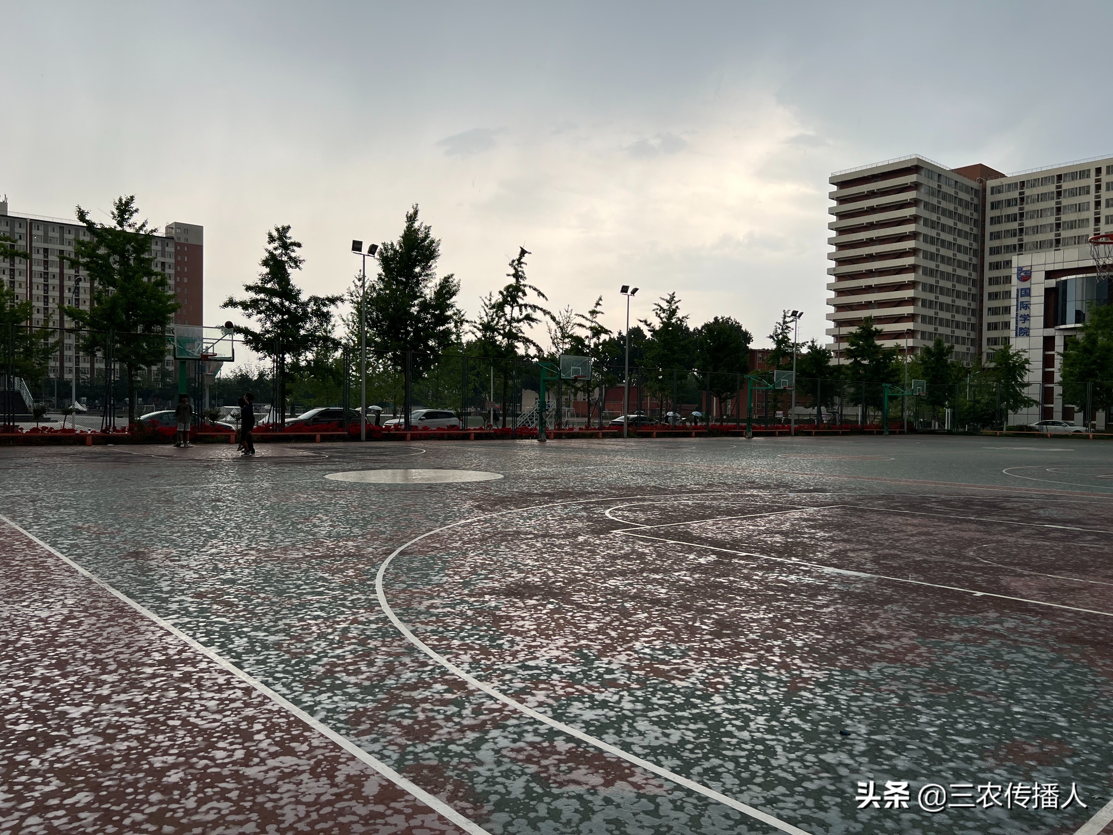 高考将至 | 用照片带你领略中国农业大学~ 是你向往的大学吗？