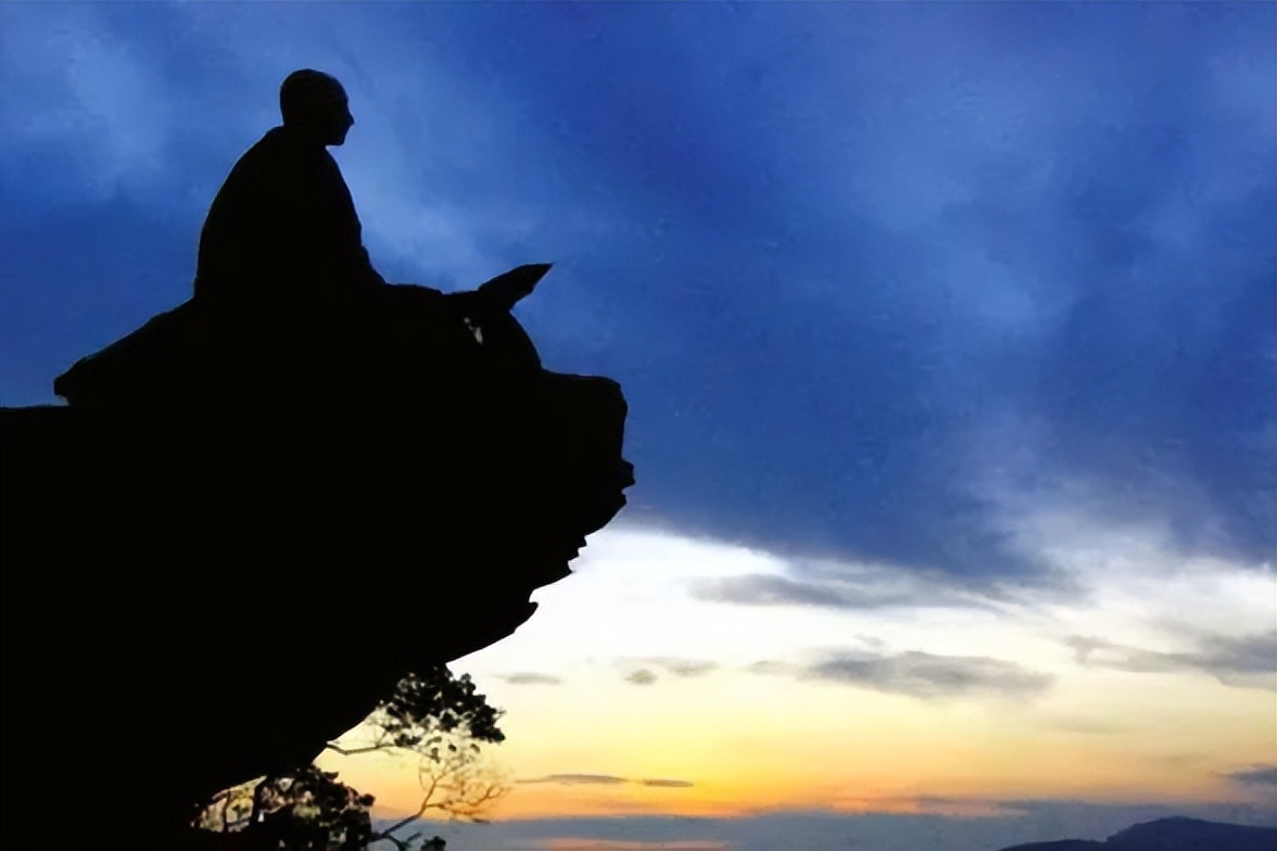 停播11天！李佳琦怎么了