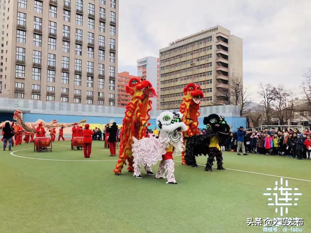 大连市实验小学教室里飞进一只喜鹊(图4)